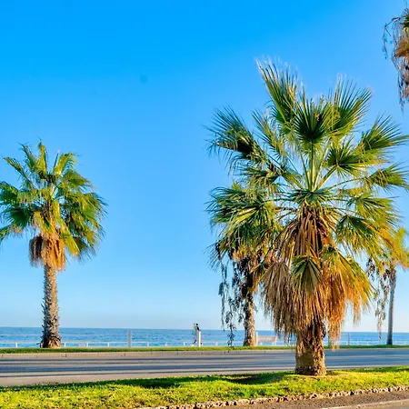 Cosy 2p Promenade Des Daire *